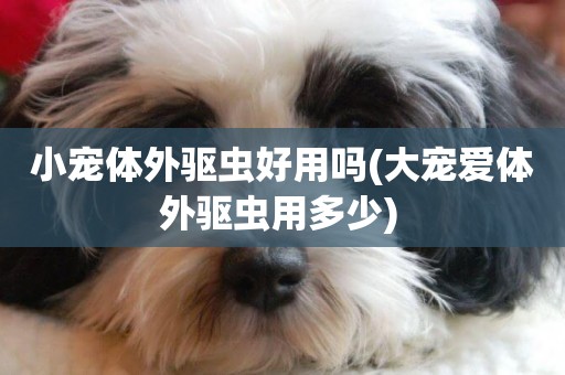 小寵體外驅蟲好用嗎(大寵愛體外驅蟲用多少) 