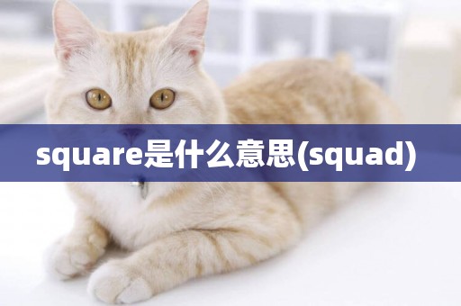 square是什么意思(squad) 