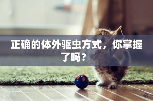 正確的體外驅蟲方式，你掌握了嗎？ 