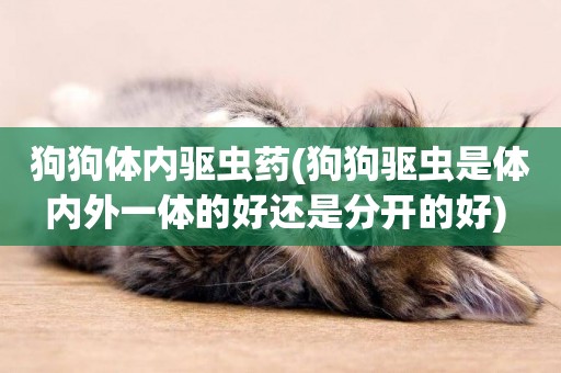 狗狗體內驅蟲藥(狗狗驅蟲是體內外一體的好還是分開的好) 