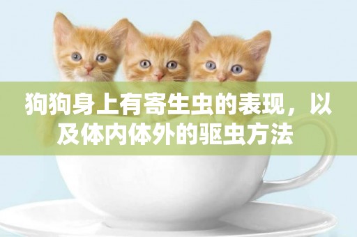 狗狗身上有寄生蟲的表現，以及體內體外的驅蟲方法 