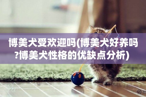 博美犬受歡迎嗎(博美犬好養嗎?博美犬性格的優缺點分析) 