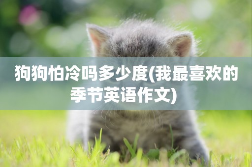 狗狗怕冷嗎多少度(我最喜歡的季節英語作文) 