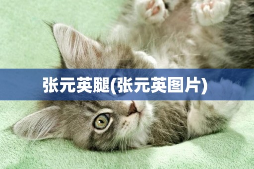 張元英腿(張元英圖片) 