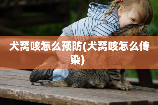 犬窩咳怎么預防(犬窩咳怎么傳染) 