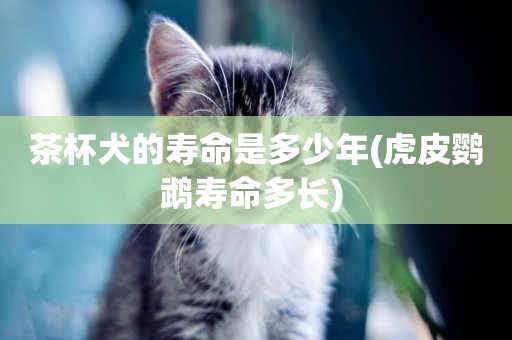 茶杯犬的壽命是多少年(虎皮鸚鵡壽命多長) 