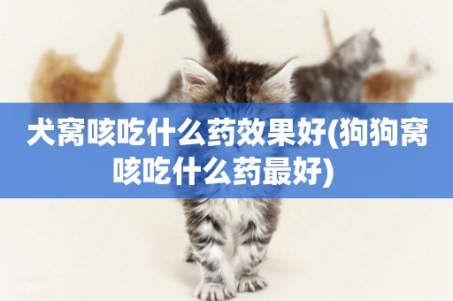 犬窩咳吃什么藥效果好(狗狗窩咳吃什么藥最好) 