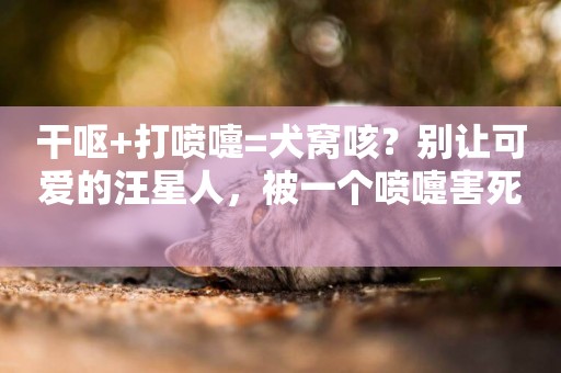 干嘔+打噴嚏=犬窩咳？別讓可愛的汪星人，被一個噴嚏害死 