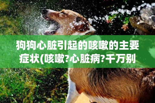 狗狗心臟引起的咳嗽的主要癥狀(咳嗽?心臟病?千萬別小看狗咳嗽的原因) 