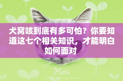 犬窩咳到底有多可怕？你要知道這七個相關知識，才能明白如何面對 