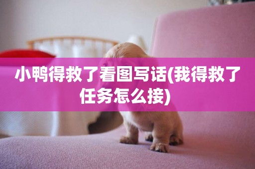 小鴨得救了看圖寫話(我得救了任務怎么接) 