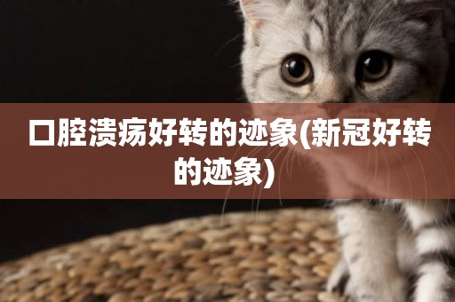 口腔潰瘍好轉的跡象(新冠好轉的跡象) 