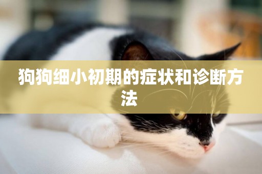 狗狗細小初期的癥狀和診斷方法 