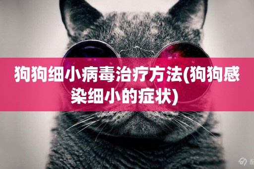 狗狗細小病毒治療方法(狗狗感染細小的癥狀) 
