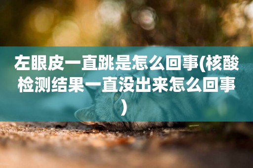 左眼皮一直跳是怎么回事(核酸檢測結果一直沒出來怎么回事) 