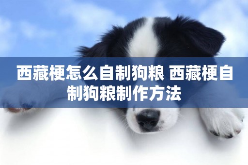 西藏梗怎么自制狗糧 西藏梗自制狗糧制作方法
