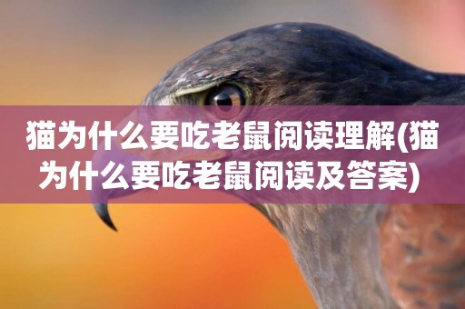貓為什么要吃老鼠閱讀理解(貓為什么要吃老鼠閱讀及答案) 