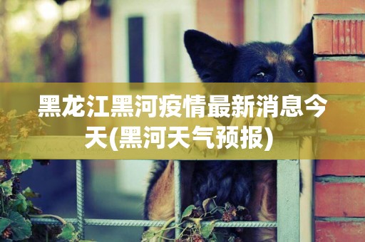 黑龍江黑河疫情最新消息今天(黑河天氣預報) 