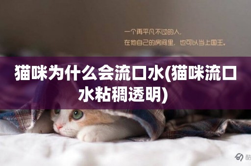 貓咪為什么會流口水(貓咪流口水粘稠透明) 