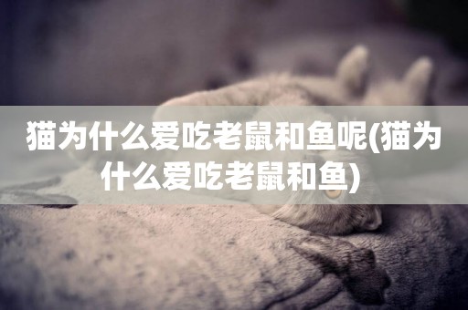 貓為什么愛吃老鼠和魚呢(貓為什么愛吃老鼠和魚) 