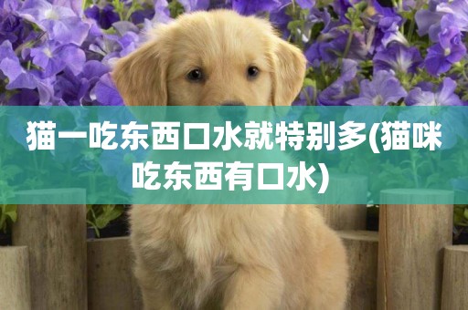 貓一吃東西口水就特別多(貓咪吃東西有口水) 