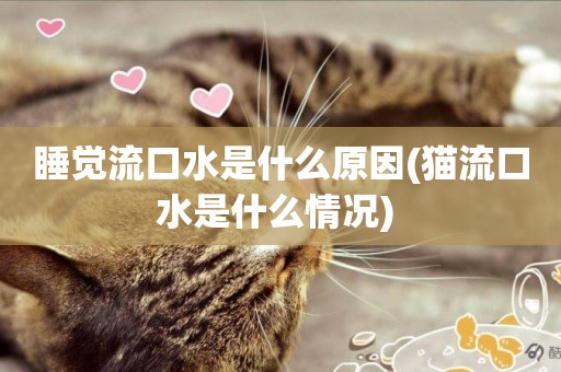 睡覺流口水是什么原因(貓流口水是什么情況) 