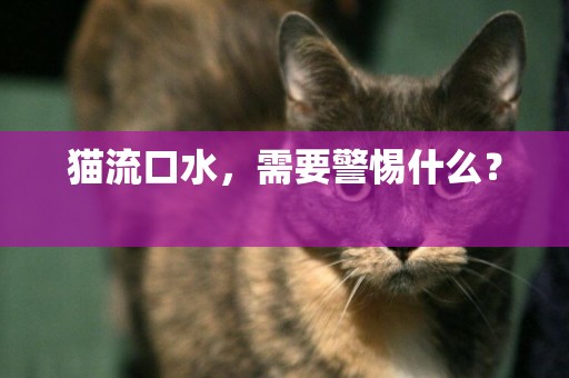 貓流口水，需要警惕什么？ 