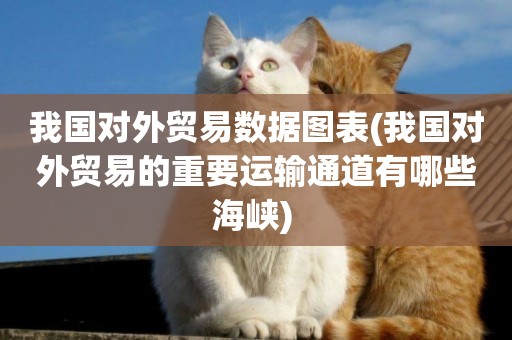 我國對外貿易數據圖表(我國對外貿易的重要運輸通道有哪些海峽) 