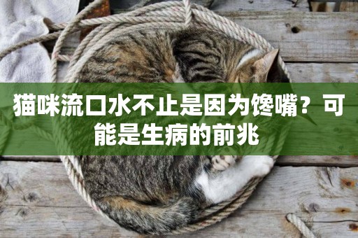 貓咪流口水不止是因為饞嘴？可能是生病的前兆 