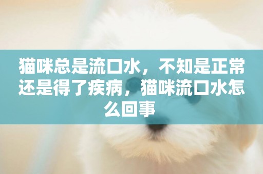 貓咪總是流口水，不知是正常還是得了疾病，貓咪流口水怎么回事 