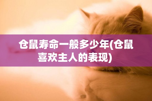 倉鼠壽命一般多少年(倉鼠喜歡主人的表現) 