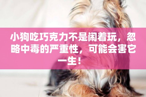 小狗吃巧克力不是鬧著玩，忽略中毒的嚴重性，可能會害它一生！ 
