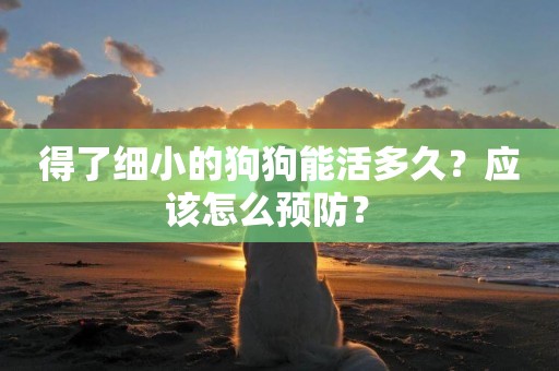 得了細小的狗狗能活多久？應該怎么預防？ 