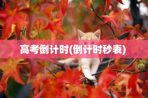高考倒計時(倒計時秒表) 