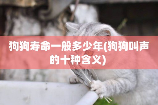 狗狗壽命一般多少年(狗狗叫聲的十種含義) 