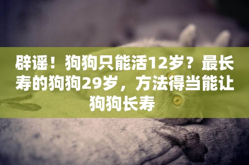 辟謠！狗狗只能活12歲？最長壽的狗狗29歲，方法得當能讓狗狗長壽 