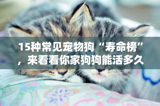 15種常見寵物狗“壽命榜”，來看看你家狗狗能活多久？ 
