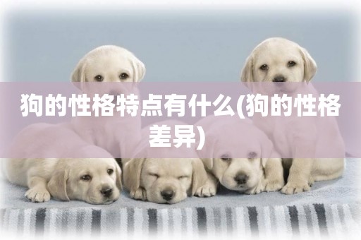 狗的性格特點有什么(狗的性格差異) 