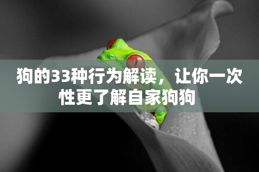 狗的33種行為解讀，讓你一次性更了解自家狗狗 