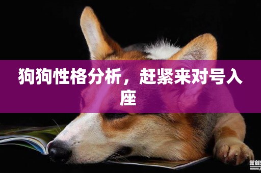 狗狗性格分析，趕緊來對號入座 
