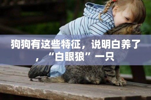 狗狗有這些特征，說明白養了，“白眼狼”一只 