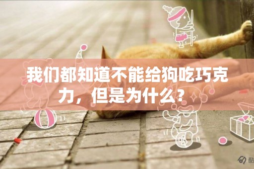我們都知道不能給狗吃巧克力，但是為什么？ 