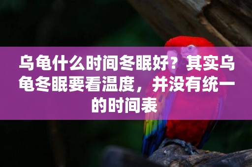 烏龜什么時間冬眠好？其實烏龜冬眠要看溫度，并沒有統一的時間表 