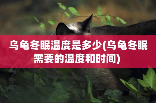 烏龜冬眠溫度是多少(烏龜冬眠需要的溫度和時間) 