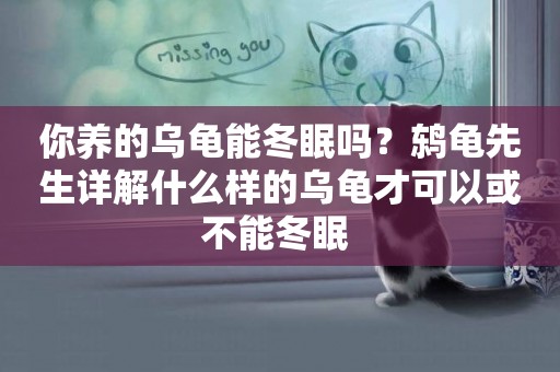 你養的烏龜能冬眠嗎？鶇龜先生詳解什么樣的烏龜才可以或不能冬眠 