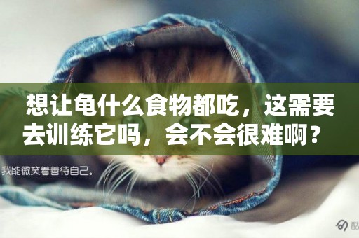 想讓龜什么食物都吃，這需要去訓練它嗎，會不會很難啊？ 