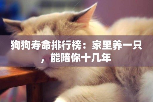 狗狗壽命排行榜：家里養一只，能陪你十幾年 