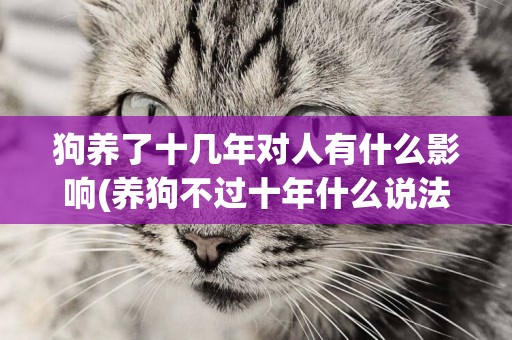 狗養了十幾年對人有什么影響(養狗不過十年什么說法) 