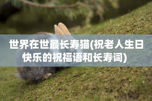 世界在世最長壽貓(祝老人生日快樂的祝福語和長壽詞) 
