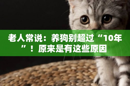 老人常說：養狗別超過“10年”！原來是有這些原因 